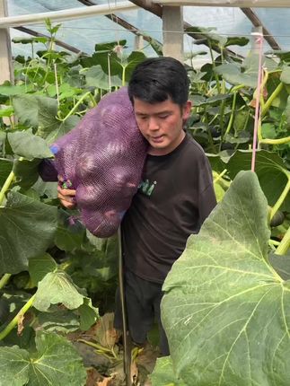 努力去做 #优质农产品 #三农 #贝贝南瓜 #粗粮