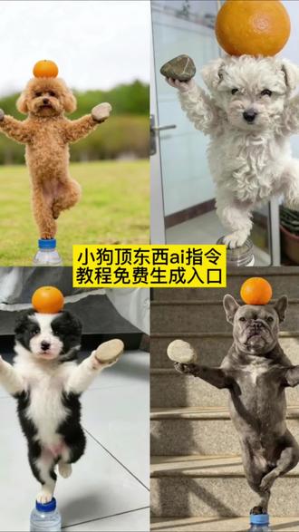 十年功夫无人知 小狗顶东西ai指令教程来了 狗狗也会武功 #豆包ai #豆包P图已经nextlevel了 #小狗 #金鸡独立 #叶问蹲 叶问蹲ai宠物 狗狗叶问蹲ai生成教程 叶问蹲ai宠物 叶问蹲动物 青苹果乐园ai 叶问蹲狗子版 叶问蹲ai 叶问蹲 叶问蹲ai制作 叶问蹲ai狗狗 叶问蹲小狗 叶问蹲狗
狗狗叶问蹲ai生成教程 狗狗叶问蹲照片 叶问蹲豆包指令 狗狗叶问蹲ai生成步骤 叶问蹲ai生成教程 嘤v叶问蹲ai生成教程 狗狗叶问蹲 ai手搓视频 狗狗叶问蹲ai生成文案 叶问蹲
小狗顶东西ai指令 小狗顶东西ai 小狗顶东西豆包口令 小狗顶东西照片 小狗顶苹果ai指令 小狗顶东西 小狗顶苹果 小狗顶东西头像 小狗顶东西礼貌投稿 小狗ai指令戒指
小狗顶东西豆包口令 小狗顶苹果ai指令 小狗顶东西 如何训练小狗各种指令 小狗指令大全教程 小狗指令 小狗ai生成 小狗顶东西训练 小狗ai仿写 小狗顶东西礼貌投稿
小狗叶问蹲教程豆包 小狗叶问蹲 小狗蹲姿教程 小狗叶问 小狗叶问蹲眼神 小狗咏蹲ai宠物 叶问蹲动物 青苹果乐园ai 叶问蹲狗子版 叶问蹲ai 叶问蹲 叶问蹲ai制作 叶问蹲ai狗狗 叶问蹲小狗 叶问蹲狗
狗狗叶问蹲ai生成教程 狗狗叶问蹲照片 叶问蹲豆包指令 狗狗叶问蹲ai生成步骤 叶问蹲ai生成教程 嘤v叶问蹲ai生成教程 狗狗叶问蹲 ai手搓视频 狗狗叶问蹲ai生成文案 叶问蹲
小狗顶东西ai指令 小狗顶东西ai 小狗顶东西豆包口令 小狗顶东西照片 小狗顶苹果ai指令 小狗顶东西 小狗顶苹果 小狗顶东西头像 小狗顶东西礼貌投稿 小狗ai指令戒指
小狗顶东西豆包口令 小狗顶苹果ai指令 小狗顶东西 如何训练小狗各种指令 小狗指令大全教程 小狗指令 小狗ai生成 小狗顶东西训练 小狗ai仿写 小狗顶东西礼貌投稿 小狗叶问蹲教程豆包 小狗叶问蹲 小狗蹲姿教程 小狗叶问 小狗叶问蹲眼神 小狗咏春拳 小狗蹲姿照片教程 小狗叶问宗师 小狗斜眼看主人叶问蹲视频 小狗蹲教程 狗狗功夫ai生成指令图片 狗狗功夫ai生成指令 狗狗功夫水瓶 猫咪功夫ai生成指令 狗狗功夫豆包ai生成指令 狗狗功夫ai生成指令剪映 猫咪打拳ai生成指令 狗狗功夫ai 狗狗功夫ai教程 狗狗功夫特效ai生成口令 狗狗功夫水瓶 狗狗功夫ai 狗狗功夫ai生成指令 狗狗功夫金鸡独立 狗狗功夫 狗