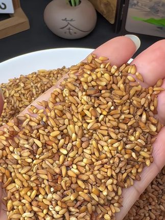 柏子仁 剥开外壳,里面的果仁油润饱满,带着淡淡的木质清香,嚼起来软糯带点回甘。用来煮糖水、熬粥都超搭,给甜品加了份温润感,吃着很舒服~#柏子仁 #柏子仁的食用方法 #柏子仁茶 #柏子仁推荐 #养生茶