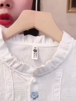 法式立领衬衫女设计感小众春秋2025年新款宽松遮肚打底衫气质上衣