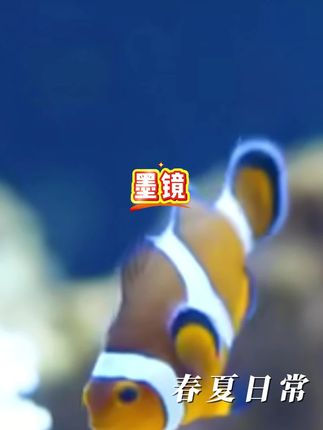 #墨镜#太阳镜#遮阳镜