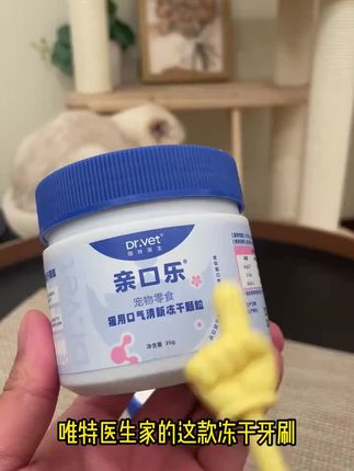 趁现在有活动给咱家猫猫尝尝#猫咪的迷惑行为