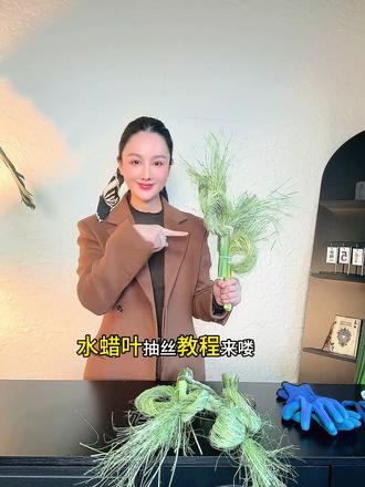 早上好呀小宝们~#花艺教程 #水腊叶