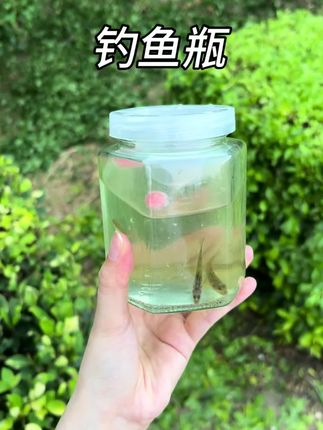 真没想到,抓鱼还能这么简单!太好玩了!#抓鱼瓶 #玩个很新的东西 #哄娃神器