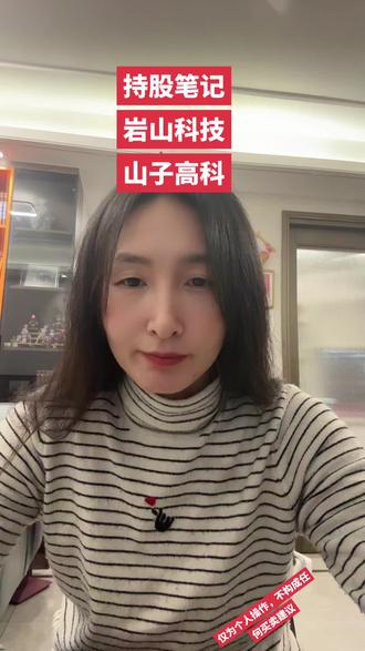 持股笔记:抄底 岩山科技 山子高科