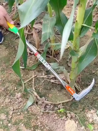 不锈钢钢镰刀#割草刀#户外除草刀#农用玉米收割镰刀#开路锄草弯刀