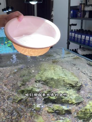 新鱼入缸用鱼乐宝,让鱼更安定防止环境不适应翻肚皮,日常换水用鱼乐宝,快速去除氯气免去了困水烦恼