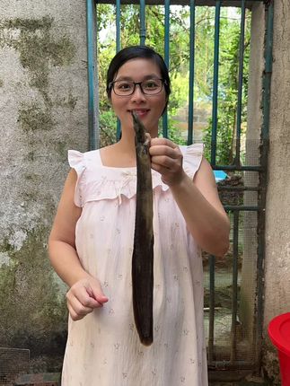 简简单单的生活 家公钓了一条锯鱼拿来打汤~~特别好喝,吵了小孩超爱吃的肉肠,一下子光盘了。在农村的生活简单又平淡#vlog日常