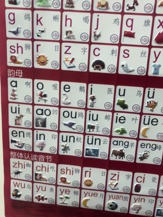 #每天学习一点点 #拼音字母表 #幼小衔接 #拼音 #专注力练习