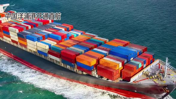 中国洋浦港#国际物流 #国际贸易 开通直航