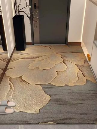 #门垫#进门地垫 #入户门垫#入户门地垫#居家好物