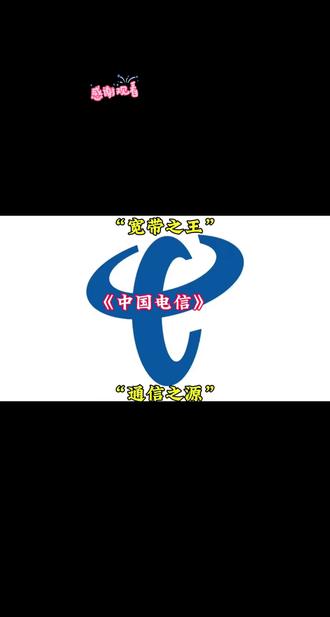 中国电信集团~信息巨头企业