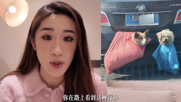 宠物和后车人的命就不是命了么? #春运 #宠物 #狗狗 #道路安全 #规范行车