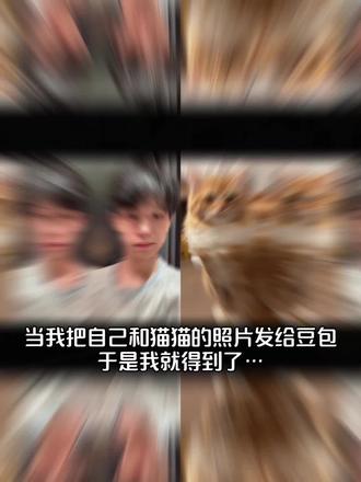 好有爱好喜欢,与猫咪相拥合照ai指令 教程来啦!#豆包p图指令宠物合照指令 ai生成自己和宠物的合照#和宠物合 合照教程来啦!和自家萌宠合照!#豆包P图指令#和宠物合照#豆包ai