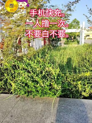 #手机快充数据线 #充电器 #爆款热卖中 #超便宜超划算#薅羊毛的快乐