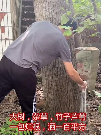 #除草 #生活小妙招 #生活好帮手