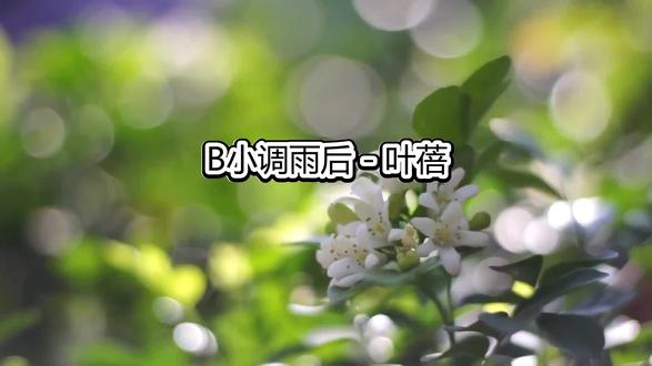 #看见音乐 #经典老歌 #治愈系风景 #完整版歌曲 #B小调雨后