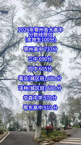 #中考 2026年鄂州各高中预估录取分数线#中考倒计时