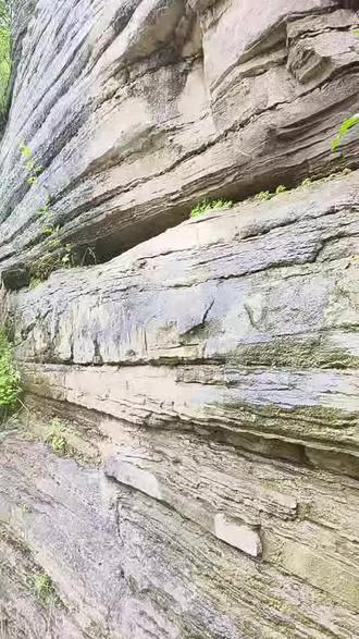 不见见龙瀑,枉到太行山。《二》 “潭头村的见龙瀑”,取自《易经》“见龙在田,德施普也” 。老杨直播间的高光时刻!中原第一瀑!跟着老杨来打卡!南太行之巅,320米绝壁飞瀑,如神龙破壁、银河倒悬,声震峡谷、虹映九天,是中原最壮观的天然瀑布。 这里兼具北方山水的雄奇险峻与江南水景的灵动秀美,是中原落差最大、气势最磅礴的天然瀑布,也是南太行必打卡的网红秘境 。 #河南峡谷 #中原第一瀑 #见龙瀑 #瀑布打卡地
