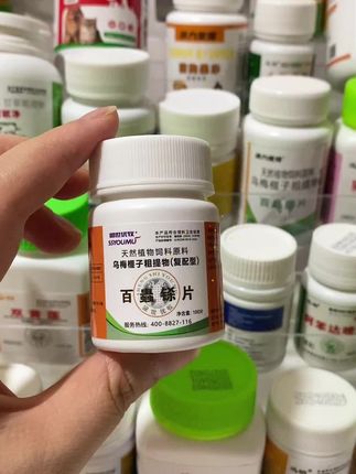 #新手养狗 #养狗经验分享 #科学养宠攻略 #养宠人的治愈谁懂啊 #养宠进阶指南