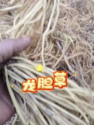 龙胆草#好东西一起分享 #龙胆草
