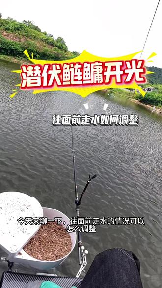 黑坑回锅鲢鳙往面前走水怎么办?直接下底!终于把这根龟竿开光了。#钓鱼人 #黑坑鲢鳙 #回锅鲢鳙 #钓鱼技巧 #开沃潜伏鲢鳙