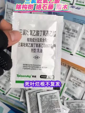 #三氯吡氧乙酸 #农业种植 #三农 #抖音助农 #服务三农支持三农