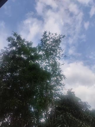 毛戈平去角质霜真的有点东西,深层清洁毛孔,特别夏天,脏东西容易堆积,做好清洁很重要#美妆 #去角质 #好皮肤养出来 #仙女必备