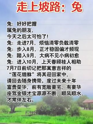 #生肖兔 #属兔 #兔