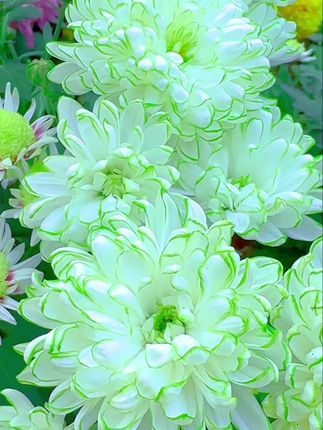 看远处是风景 看近处才是人生 唯愿余生岁月无恙 只言温暖 不语悲伤