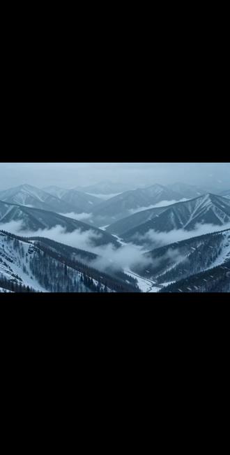 跟个风,终于学会了。#看上去还可以吧 #雪山救狐狸 #ai #豆包app #每日分享