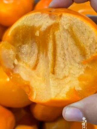 期待已久的阳丰脆柿开园拉,一年只能吃这二十几天,喜欢的不要错过#脆柿子 #柿子 #应季水果 #优质农产品 #超便宜超划算