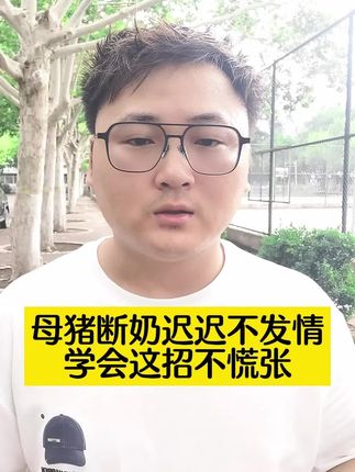 母猪断奶迟迟不发情,学会这招不慌张 #养猪人 #养猪技术 #养猪人不容易 #养猪知识 #养猪人加油干