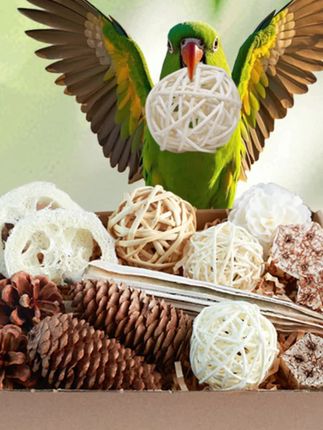 咔昂星鹦鹉啃咬玩具大礼包装饰和尚牡丹玄凤磨嘴藤球通草球松果 #鹦鹉啃咬#鹦鹉玩具#鹦鹉用品#新手养鸟 #好物推荐🔥