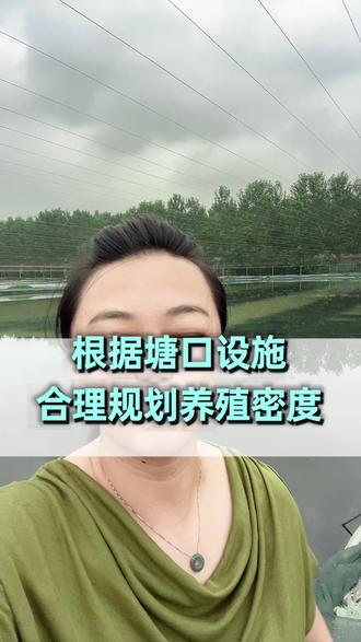 合计规划整个螃蟹养殖过程,这样才能真的做到降本增效 #真实生活分享计划 #水产养殖 #养殖密度管理 #水产养殖考察 #三农@抖音小助手