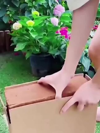 喜欢养花种菜的朋友、椰砖营养土,它不仅便宜实惠,而且土质松软透气,还不生虫,无论是用来养花还是种菜都很合适哦!关键是它泡水后就会膨胀变大,可以重复使用,真的是既经济又实用,赶紧点击下方链接下单吧!#椰砖土 #椰砖营养土