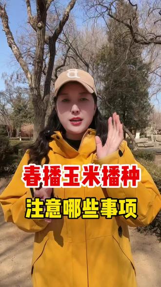 春播玉米播种需要注意哪些事项#三农#三农种植 #就想说点大实话 #知识分享 #农村生活