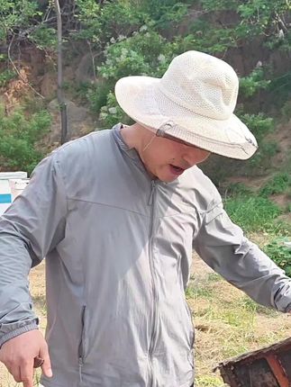 #农村养蜂人 #蜜蜂 #蜂蜜 #三农 #益母草蜂蜜