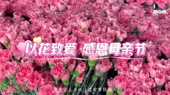 世间温柔皆属母亲,平凡却自带光芒,母亲节当天,打卡互动,可领取康乃馨一支!#全都more购物中心 #母亲节 #送妈妈的花 #临潼 #打卡