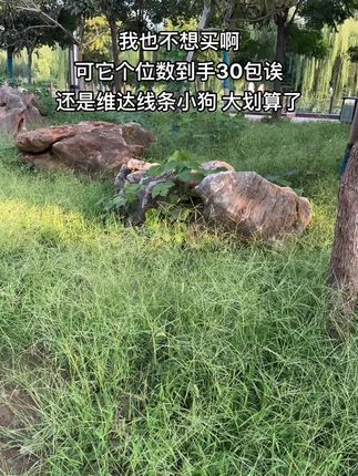 维达线条小狗手帕纸这个价就发30包,太划算了,快快冲!#维达手帕纸#线条小狗#手帕纸#出门必备#超便宜超划算