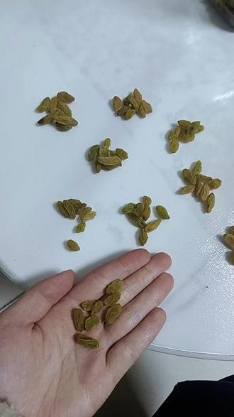 科学的尽头是玄学
#抓豆子