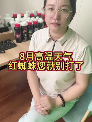 8月高温天气,红蜘蛛您就别打了#红蜘蛛 #红蜘蛛防治 #红蜘蛛特效药 #果树种植 #柑橘种植