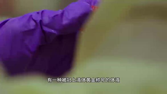 精液能美容?科学揭幕真相
#科普一下#涨知识#必看话题#科学 #养容美颜