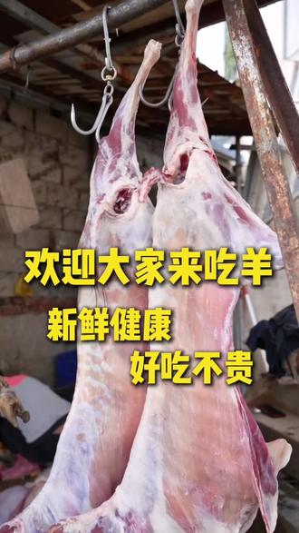 欢迎蒙阴老乡前来吃羊喝汤哈
#为家乡美食打call #羊肉汤 #蒙阴 #同城美食 #这是真正的硬菜