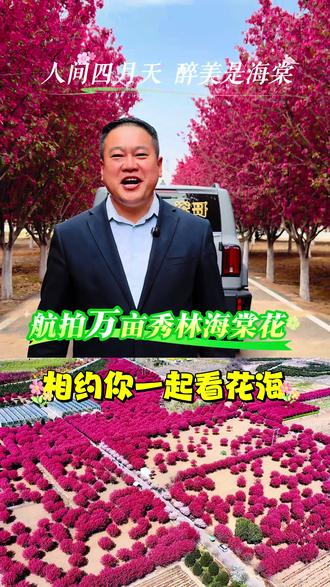 #花海 #穿越千年只为等你万亩秀林里的与花共舞星空下的露营烧烤都在邀你来见一面#真美啊,不一样的感觉,旅游时光,中国我爱你! #我为邯郸代言 #邯郸文明范儿@邯郸文旅 @邯郸峰峰新媒体 @峰峰网信e起来 @峰峰发布 @峰峰文旅 @红丽鑫玉陶瓷 @邯郸雷盾门窗源头工厂(老板娘) @峰峰水浒烤肉饭店