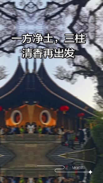 一方净土,三柱清香,温暖托起每个来过的人!#普陀山祈福