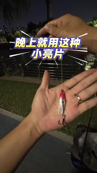 分享快乐,晚上就用亮片 #路亚 #路亚野钓 #路亚钓鱼 #钓鱼 #亮片