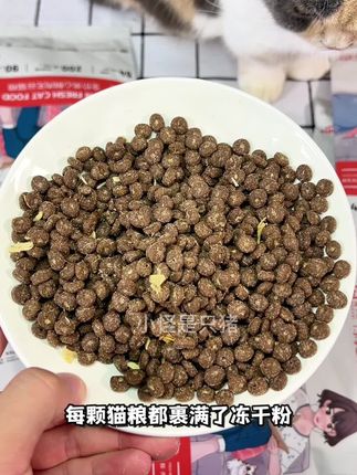 这猫粮真心不错,你看才多少钱!而且营养价值高,适口性也好,刷到赶紧薅!#魔卡尼全价夹心鲜肉无谷猫粮 #魔卡尼无谷夹心猫粮 #养猫人 #宠物食品 #猫粮