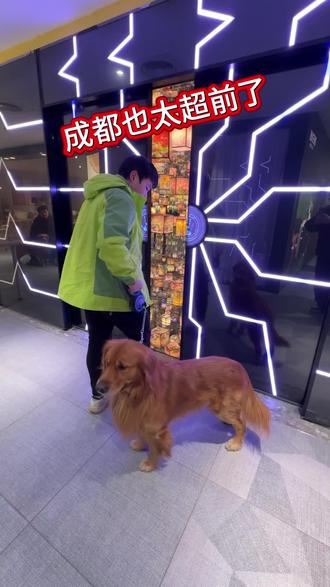 成都终于扬眉吐气了!高端游玩场景落地,这下可算赶上潮流了!#亲子游玩好去处#周末去哪玩#成都#元旦游玩推荐#入冬团购第一站