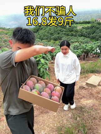 #凯特芒果
